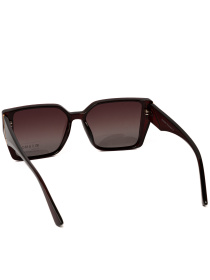 Солнцезащитные очки Famo модель O26018P_02 Фото