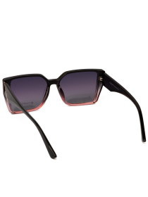 Солнцезащитные очки Famo модель O26018P_05 Фото