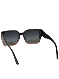 Солнцезащитные очки Famo модель O26018P_06 Фото