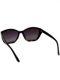 Очки Famo модель O26023P_06 Фото