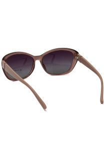 Солнцезащитные очки Famo модель E19037P_03 Фото