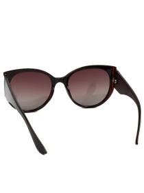 Сонцезахисні окуляри Famo модель E19039P_01 Фото