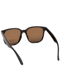 Солнцезащитные очки Famo модель YK9255_02 Фото