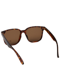 Сонцезахисні окуляри Famo модель YK9255_03 Фото