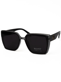 Солнцезащитные очки Famo модель S2918P_03 Фото