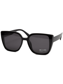 Окуляри Famo модель O2807P_03 Фото