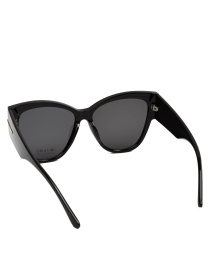 Солнцезащитные очки Famo модель Y9289_01 Фото