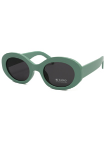 Сонцезахисні окуляри Famo модель Y9291_01 Фото