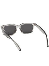 Сонцезахисні окуляри Famo модель Y9262_03 Фото