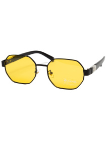 Очки Famo модель E016P_03 Фото