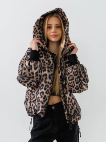 Демісезонна куртка Dinomin модель 2000990985248 Фото