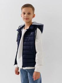 Жилет з утеплювачем Dinomin модель 2000990869098 Фото