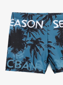 Шорти для плавання TREBA модель 2000903419334 Шорти для плавання TREBA модель 2000903419334 Фото