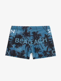 Шорти для плавання TREBA модель 2000903419334 Шорти для плавання TREBA модель 2000903419334 Фото