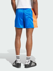 Повседневные шорты Adidas Graphics модель JD0704 Фото