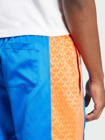 Повседневные шорты Adidas Graphics модель JD0704 Фото