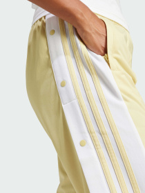 Штани повсякденні Adidas Adicolor модель JD0855 Фото