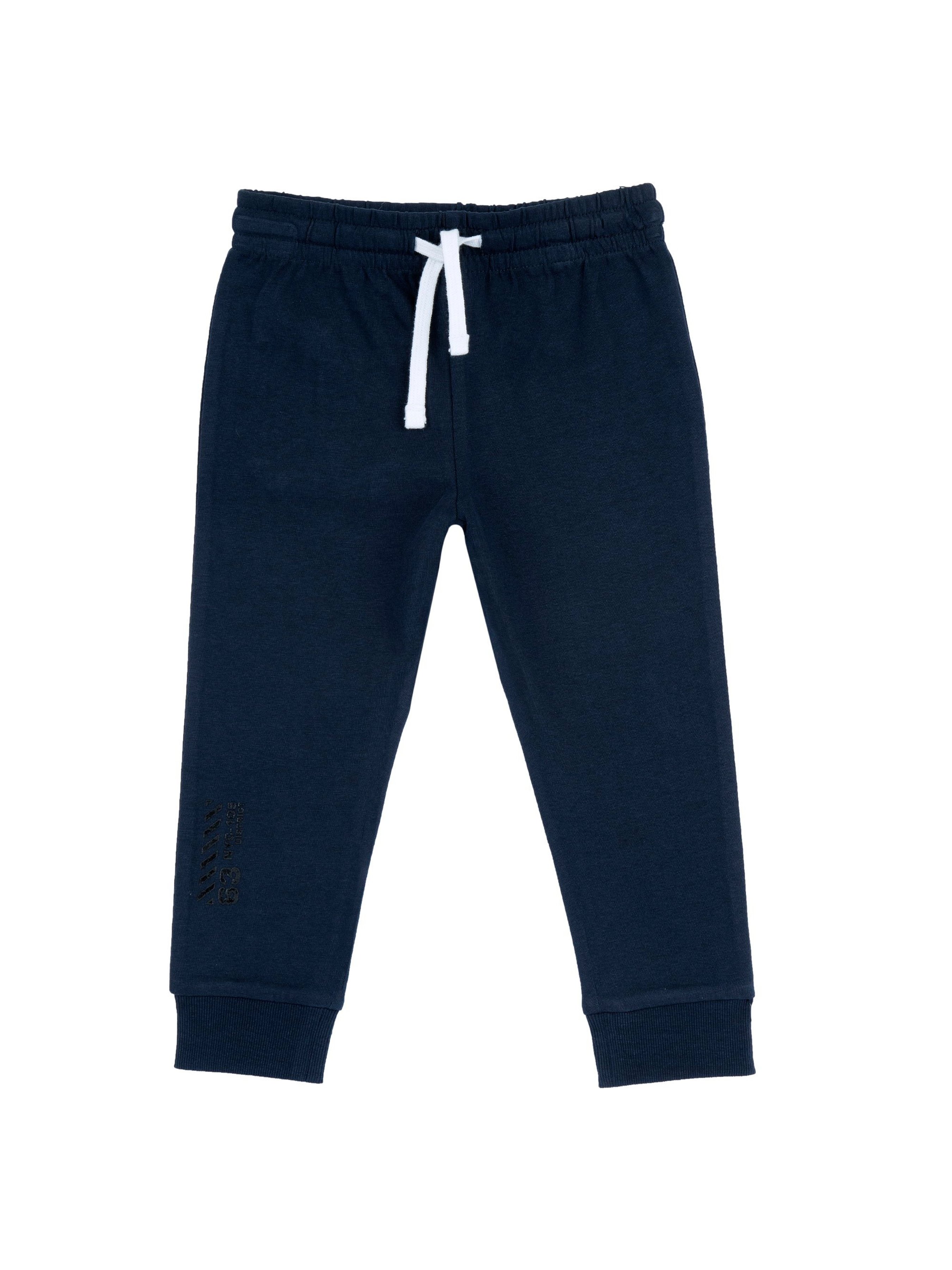 Бавовняні Дитячі Спортивні штани Chicco  (8051700315842) колір синій