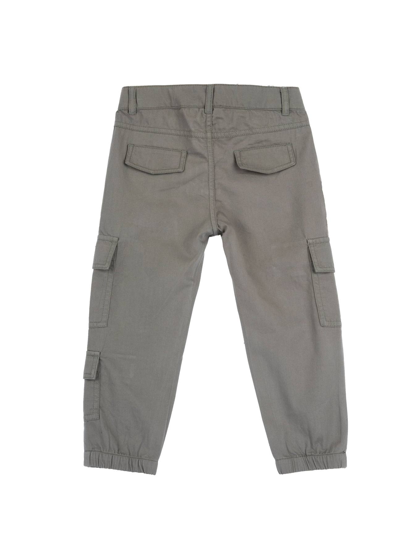 Карго Chicco модель 090.11957.095 Фото