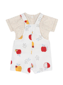 Комплект для немовлят Chicco модель 090.73930.064 Фото