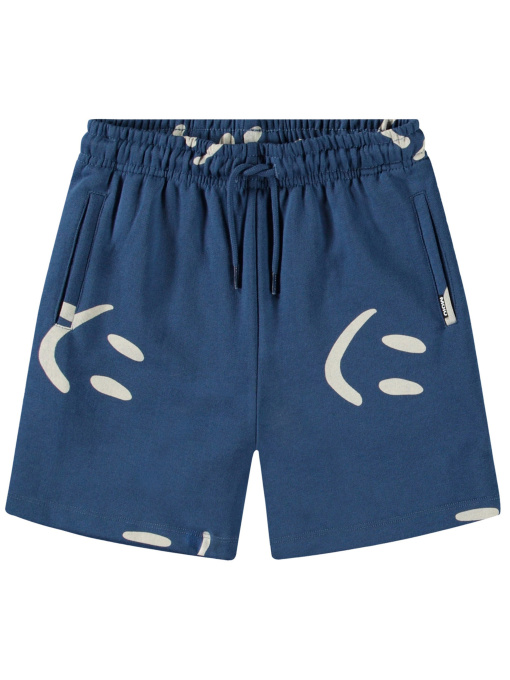 Шорты Molo модель 1S25H203.9338 Фото