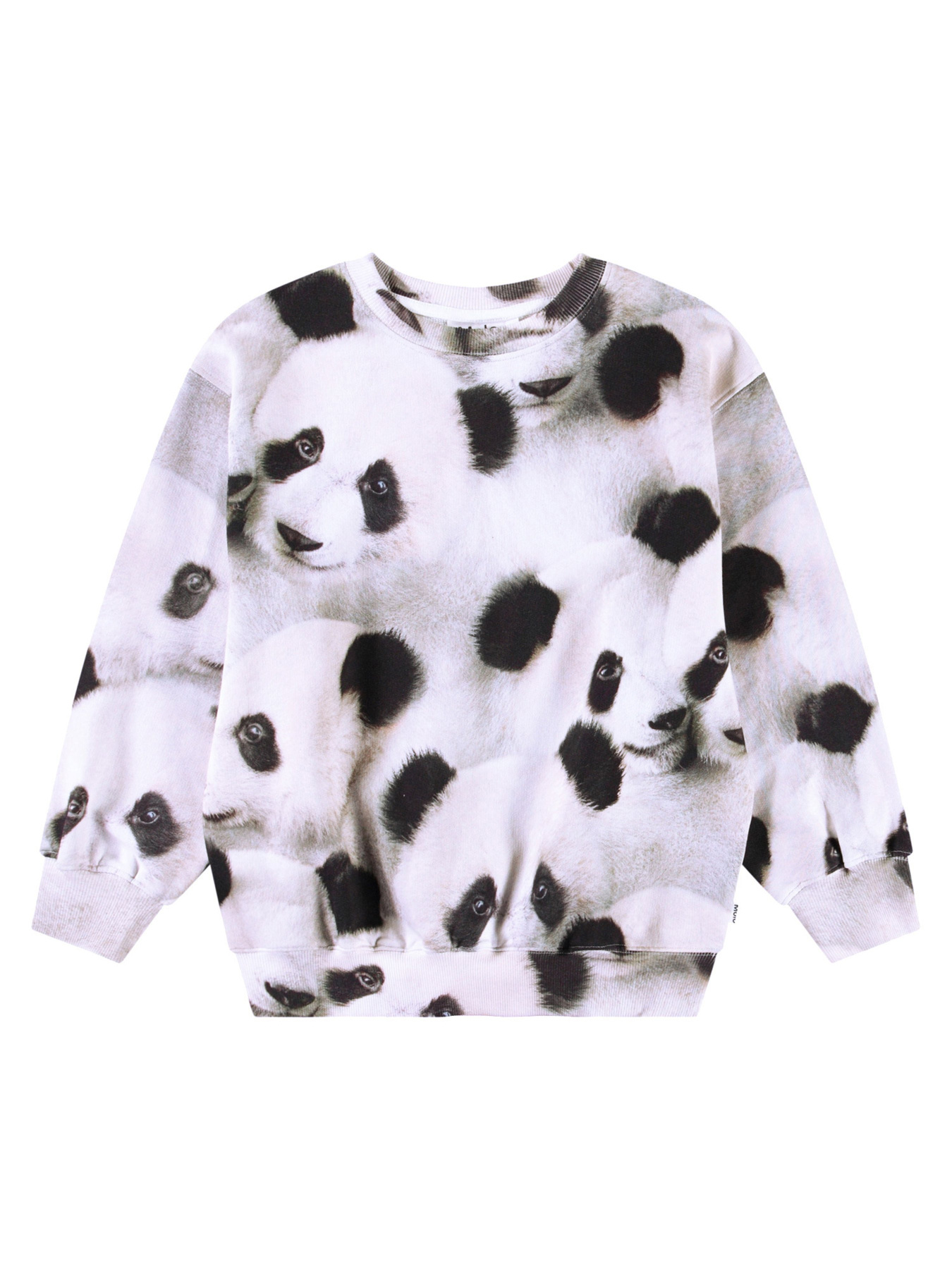 Свитшот Molo модель 6S25J202.9274 Фото