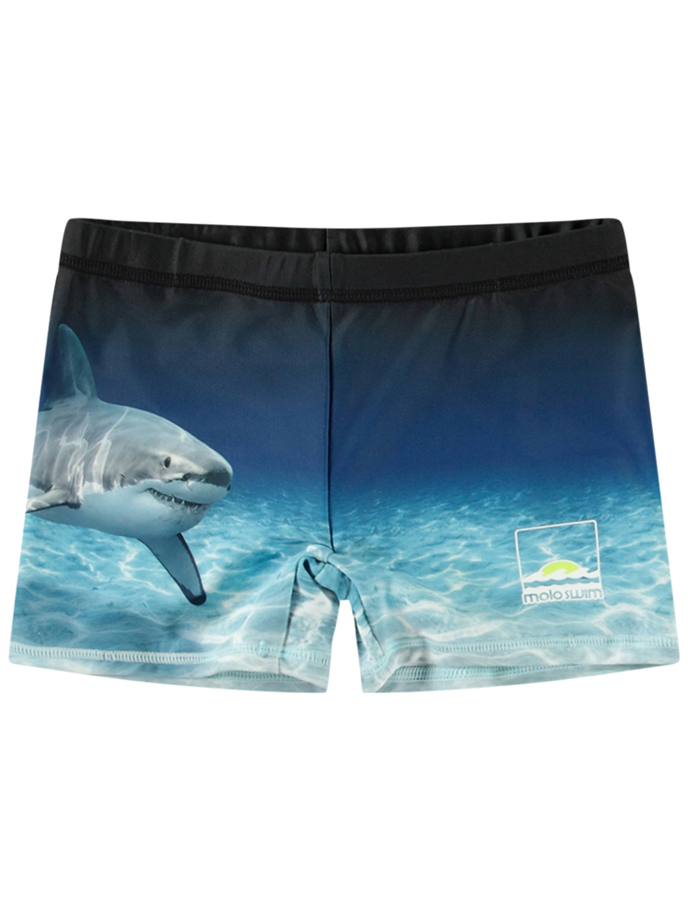 Плавки Molo Модель 8S25P307.3798 Фото