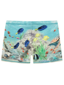 Плавки Molo Модель 8S25P307.3808 Фото