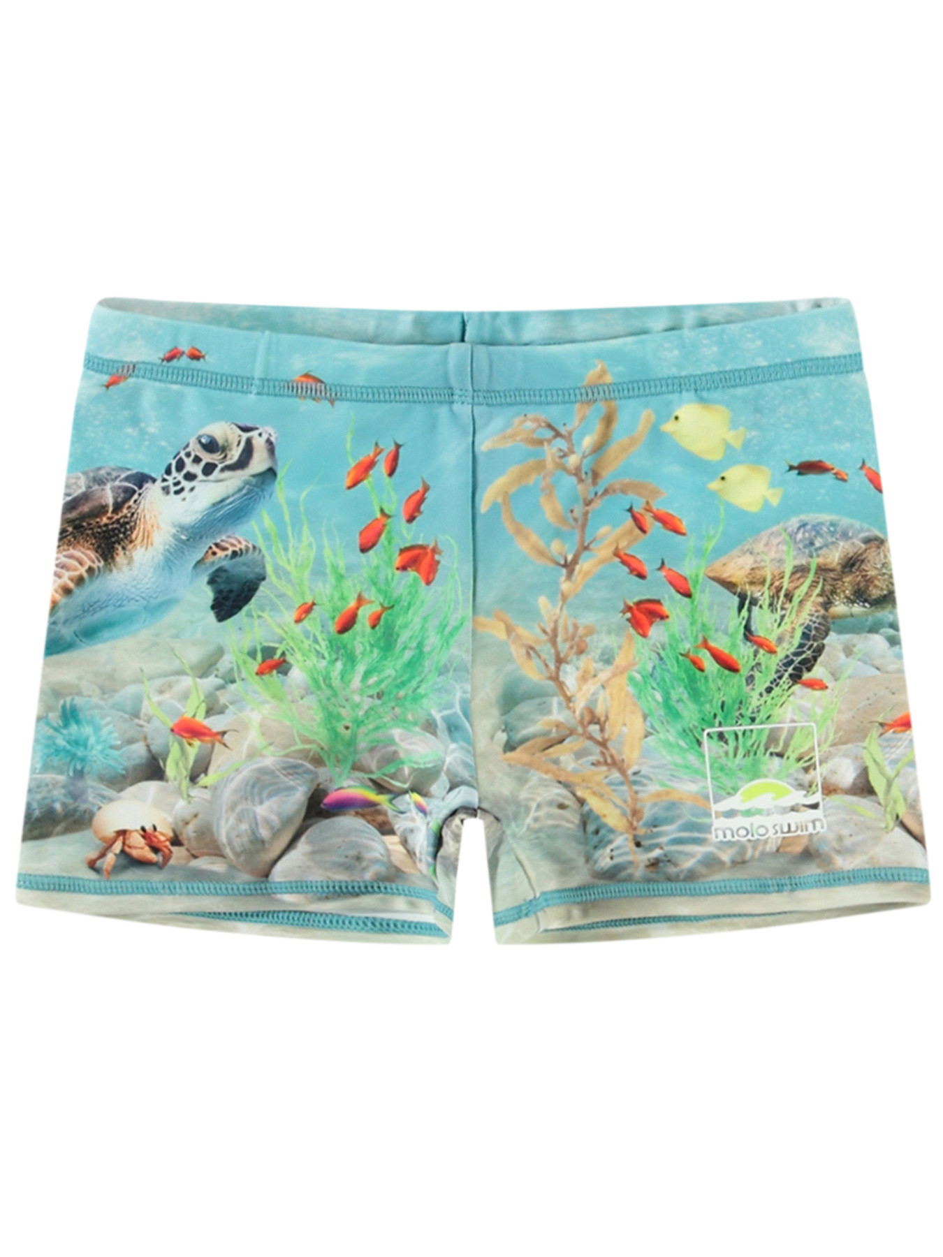 Плавки Molo модель 8S25P307.3808 Фото