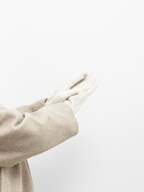 Перчатки и варежки Famo модель RUK-3MT-7_06 Фото