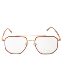 Іміджеві окуляри Famo модель E21023_01 Фото