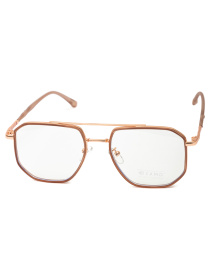 Іміджеві окуляри Famo модель E21023_01 Фото