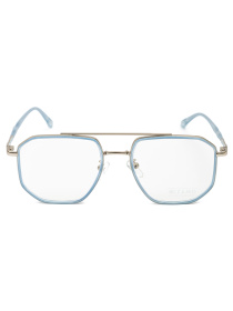 Іміджеві окуляри Famo модель E21023_02 Фото