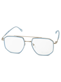 Іміджеві окуляри Famo модель E21023_02 Фото