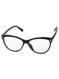 Іміджеві окуляри Famo модель E7011_01 Фото