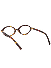 Іміджеві окуляри Famo модель E7786_01 Фото