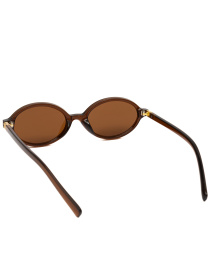 Очки Famo модель AS29246_04 Фото