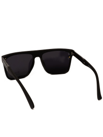 Солнцезащитные очки Famo модель E1849P_01 Фото