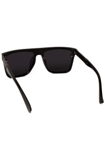 Солнцезащитные очки Famo модель E1849P_02 Фото