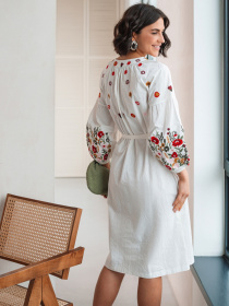 Вишиванки Dressa модель 73311 Фото