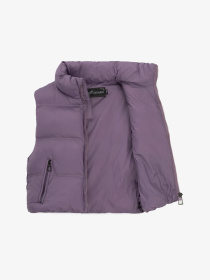 Утепленный жилет Dinomin модель 2000990890191 Утепленный жилет Dinomin модель 2000990890191 Фото