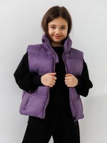 Утепленный жилет Dinomin модель 2000990890191 Утепленный жилет Dinomin модель 2000990890191 Фото