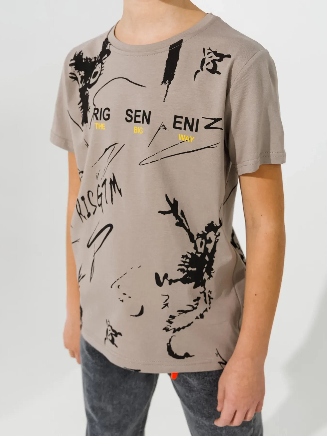 Футболка Dinomin модель 2000991024199 Фото