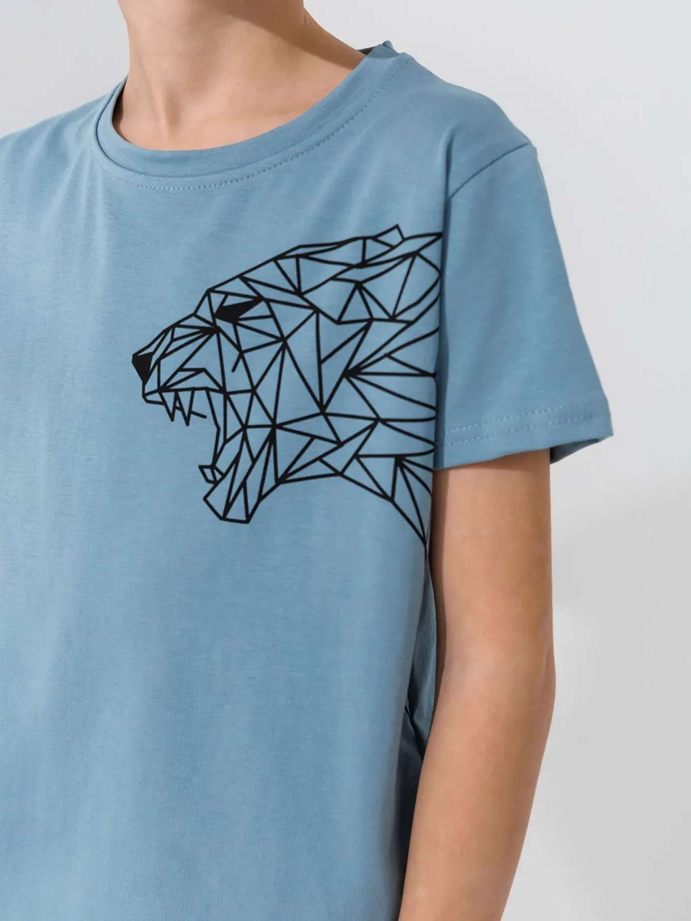 Футболка Dinomin модель 2000991022935 Фото