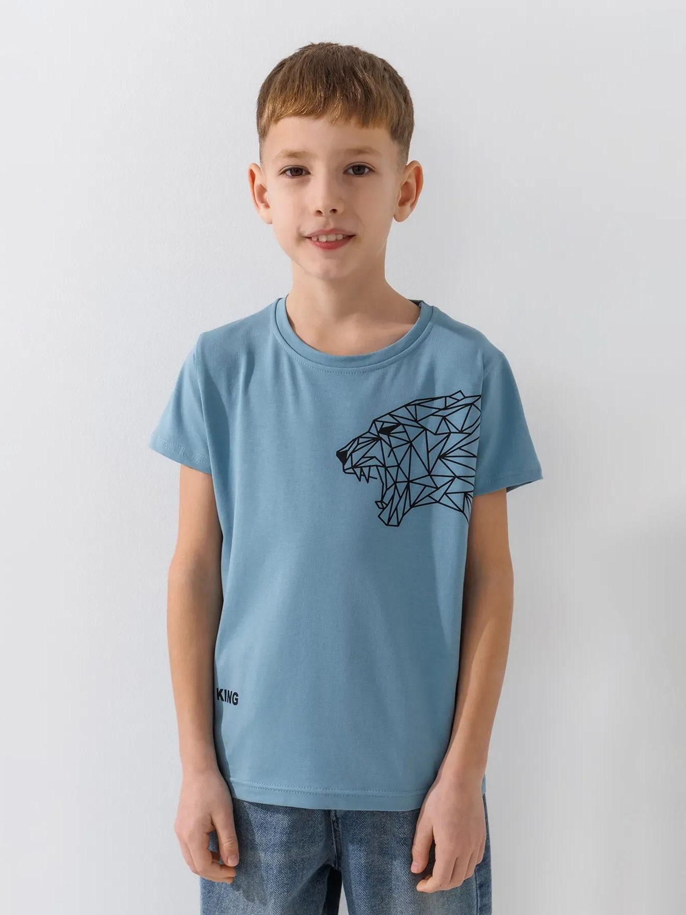 Футболка Dinomin модель 2000991022935 Фото