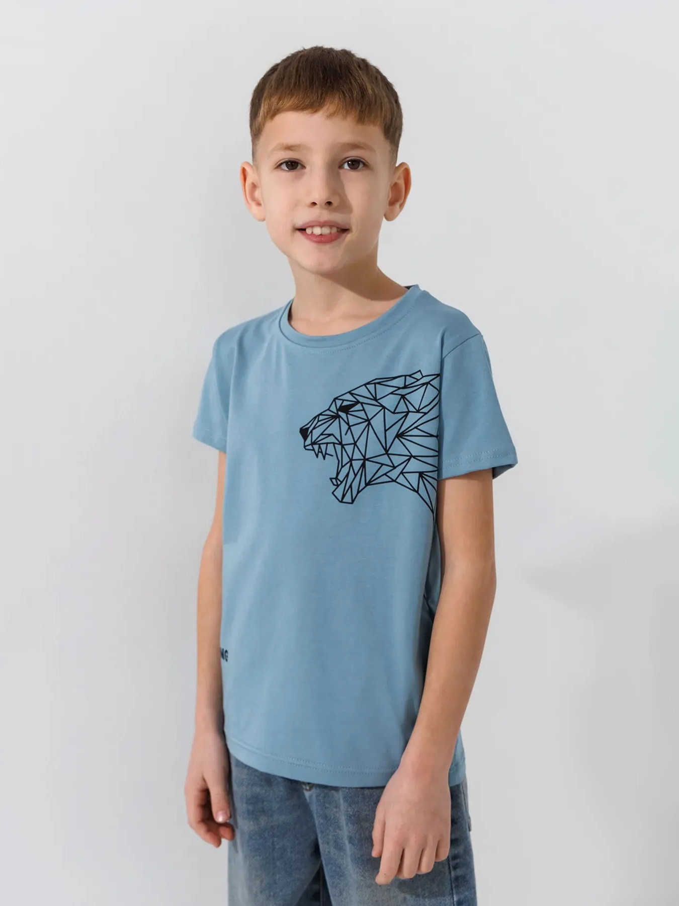 Футболка Dinomin модель 2000991022935 Фото