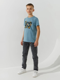 Футболка Dinomin модель 2000991024236 Фото