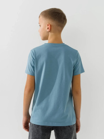 Футболка Dinomin модель 2000991024236 Фото