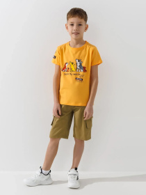 Футболка Dinomin модель 2000991023239 Футболка Dinomin модель 2000991023239 Фото