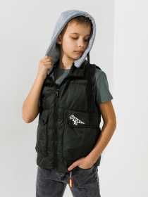 Жилет з утеплювачем Dinomin модель 2000990868718 Фото